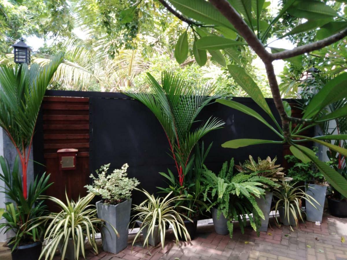 Lija Residence เนกอมโบ ภายนอก รูปภาพ